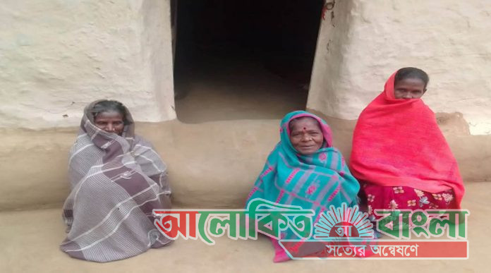 শমসেরনগর চা বাগানে শীতে জবুথবু বয়স্ক চা শ্রমিক